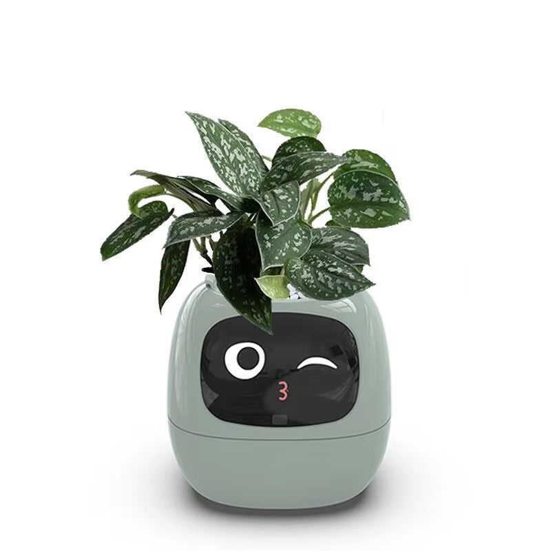 Smart Pot for Plant Small Flower Pot Ivy Desktop Green Plant Vase for Quіtіa Smart Pet Planter