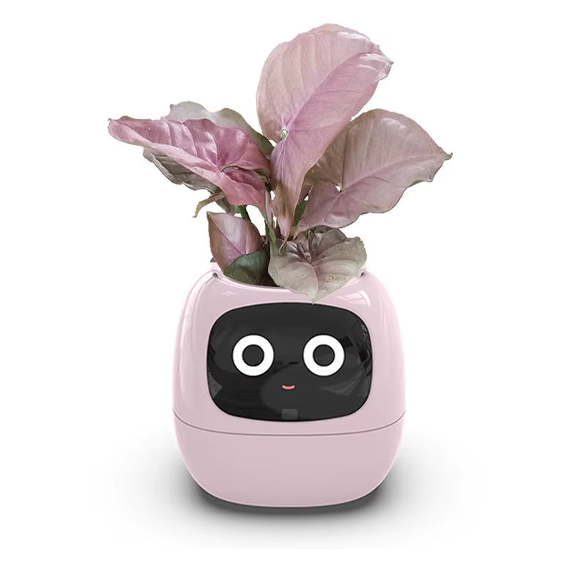 Smart Pot for Plant Small Flower Pot Ivy Desktop Green Plant Vase for Quіtіa Smart Pet Planter
