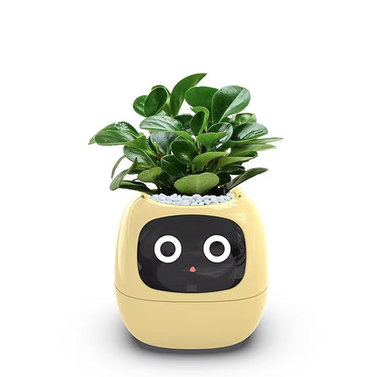 Smart Pot for Plant Small Flower Pot Ivy Desktop Green Plant Vase for Quіtіa Smart Pet Planter
