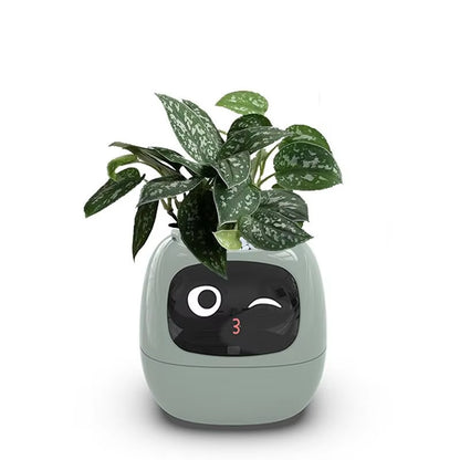 Smart Pot for Plant Small Flower Pot Ivy Desktop Green Plant Vase for Quіtіa Smart Pet Planter
