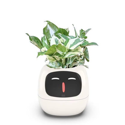 Smart Pot for Plant Small Flower Pot Ivy Desktop Green Plant Vase for Quіtіa Smart Pet Planter