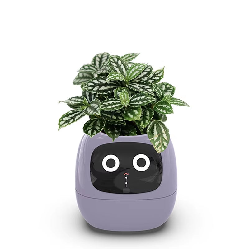 Smart Pot for Plant Small Flower Pot Ivy Desktop Green Plant Vase for Quіtіa Smart Pet Planter