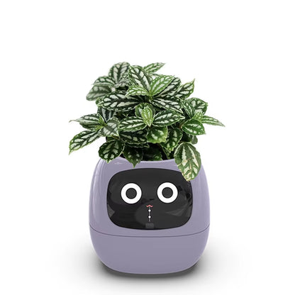 Smart Pot for Plant Small Flower Pot Ivy Desktop Green Plant Vase for Quіtіa Smart Pet Planter